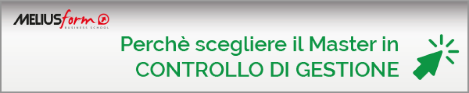 Master in Controllo di Gestione 